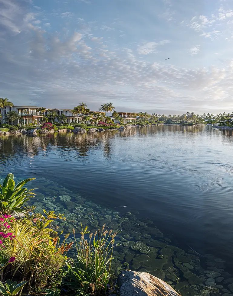 Nations of Sky New Zayed